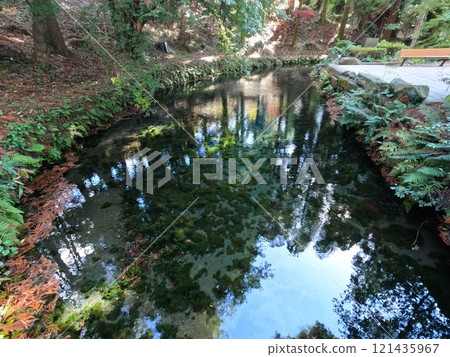 水和秋葉 水和秋葉 121435967