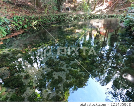 水和秋葉 水和秋葉 121435968