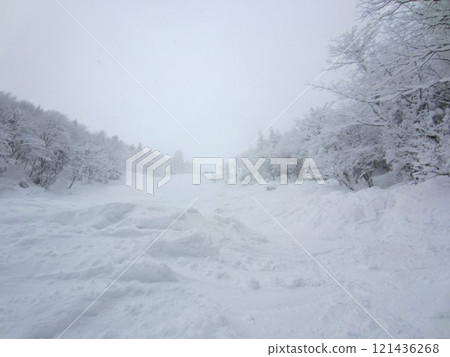 Powder, snowboarding and skiing, snow scenery 121436268