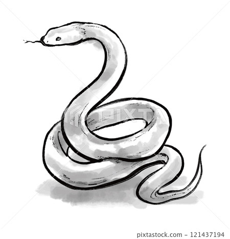 Coiled snake ink painting illustration, monochrome, Year of the Snake, Snake, New Year's card 121437194
