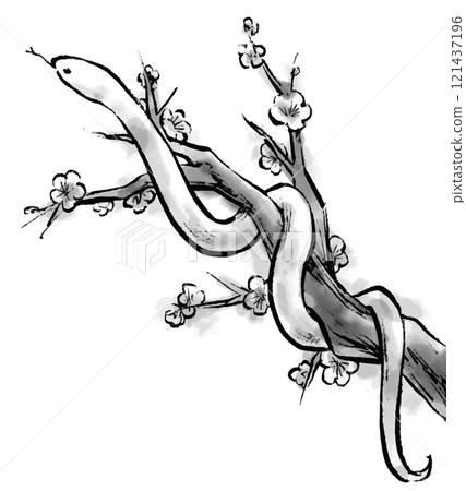 Ink painting of a snake coiling around a plum tree. Monochrome. Year of the Snake. New Year's card. Ink painting of a snake coiling around a plum tree. Monochrome. Year of the Snake. New Year's card. 121437196