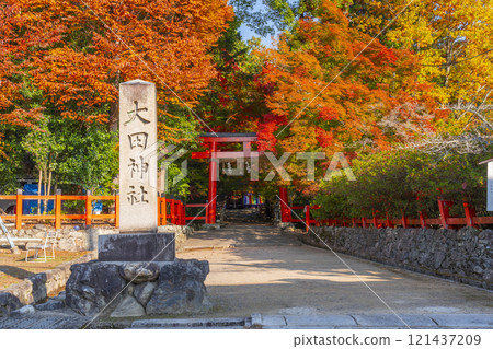 秋天的京都，太田神社，鳥居被秋葉覆蓋 121437209