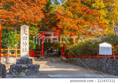 秋天的京都,太田神社,鳥居被秋葉覆蓋 秋天的京都,太田神社,鳥居被秋葉覆蓋 121437212