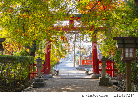 秋天的京都，太田神社，鳥居被秋葉覆蓋 121437214
