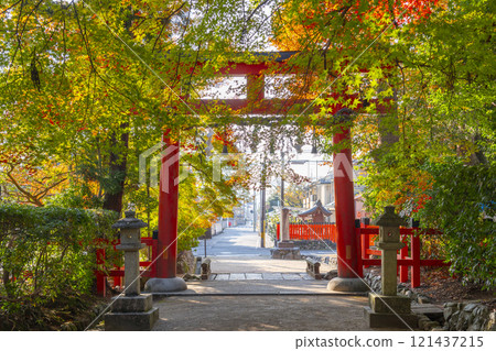 秋天的京都，太田神社，鳥居被秋葉覆蓋 121437215