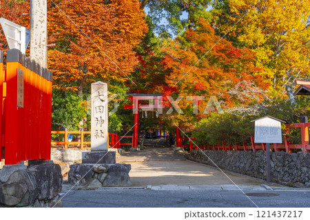 秋天的京都,太田神社,鳥居被秋葉覆蓋 秋天的京都,太田神社,鳥居被秋葉覆蓋 121437217