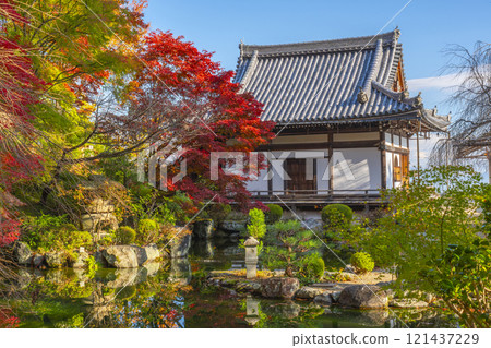 Autumn in Kyoto: Zenbouji Temple - Yakushido Hall and the former garden of Rengejuin Temple surrounded by autumn leaves 121437229