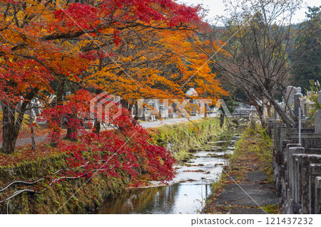 秋天的高野山、秋葉和平與橋 121437232