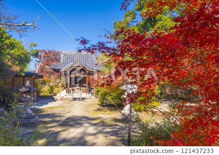 Manshuin Bentendo Hall surrounded by autumn leaves 121437233