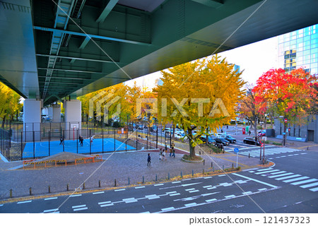 [愛知縣] 秋天的名古屋市景若宮大通，路邊的樹木紅葉 121437323