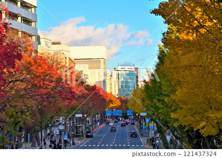 [愛知縣] 秋天的名古屋市景若宮大通，路邊的樹木紅葉 121437324