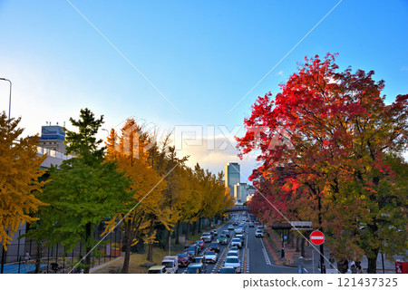 [愛知縣] 秋天的名古屋市景若宮大通，路邊的樹木紅葉 121437325