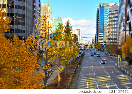 [愛知縣]名古屋市景，秋天的櫻花街，一排排黃葉的銀杏樹 121437471