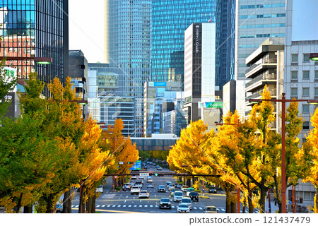 [愛知縣]名古屋市景，秋天的櫻花街，一排排黃葉的銀杏樹 121437479