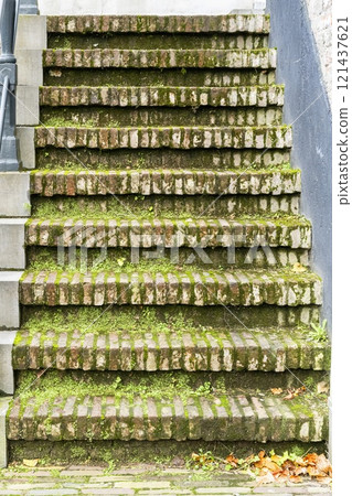 Closeup view of an abstract pattern of brick stairway covered with green moss Closeup view of an abstract pattern of brick stairway covered with green moss 121437621