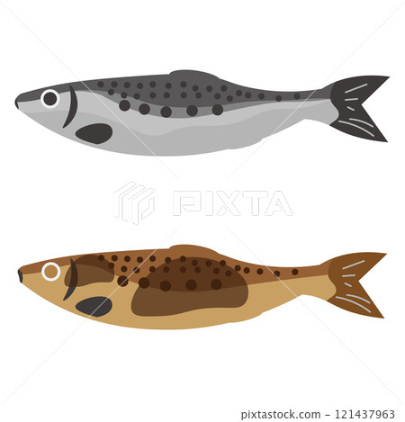 Illustration of raw sardines and grilled sardines 121437963