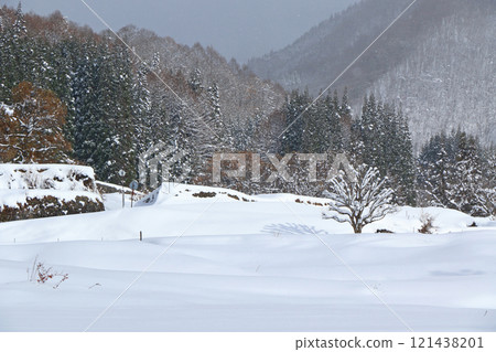 Hakuba village Aoyagi winter rice terrace Hakuba village Aoyagi winter rice terrace 121438201