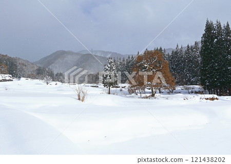 白馬村Aoyagi冬季水稻梯田 121438202