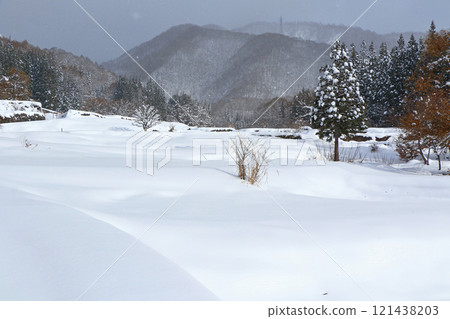 白馬村Aoyagi冬季水稻梯田 121438203