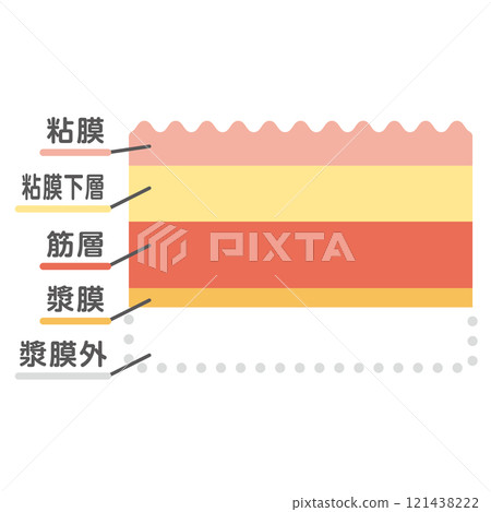 胃腸黏膜圖解 121438222