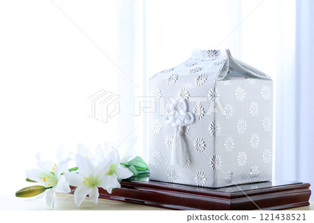 remains 121438521