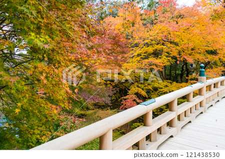 Yamanaka Onsen's tourist attraction "Kakusenkei" | Autumn leaves image | Tourism image | November photo | Kaga City, Ishikawa Prefecture 121438530