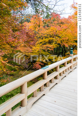 山中溫泉旅遊勝地鶴仙溪| 11月拍攝的石川縣觀光照片| 121438531