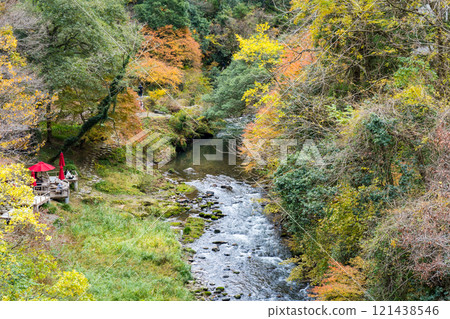 山中溫泉旅遊勝地鶴仙溪| 11月拍攝的石川縣觀光照片| 121438546