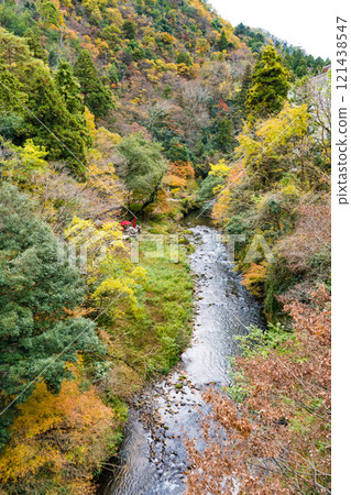 山中溫泉旅遊勝地鶴仙溪| 11月拍攝的石川縣觀光照片| 121438547