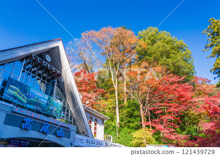 In front of Kiyotaki Station on the Keio Line at Mount Takao in autumn, with the morning sun shining through 121439729