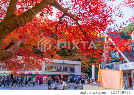 京王線清瀧站前，清晨的陽光照耀著秋天的高尾山 121439731