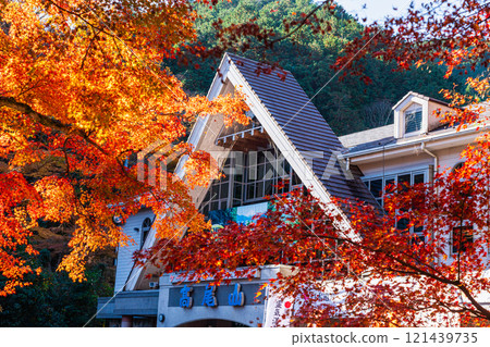 In front of Kiyotaki Station on the Keio Line at Mount Takao in autumn, with the morning sun shining through 121439735