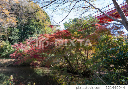 泉自然公園 千葉市 121440044