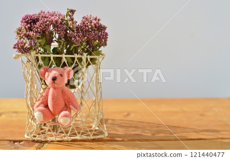 藤葉乾花和泰迪熊 藤葉乾花和泰迪熊 121440477