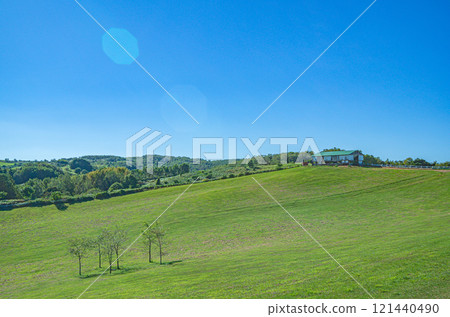 Shibetsu City, Hokkaido, Sheep Town 121440490