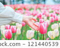 Handing over tulips 121440539