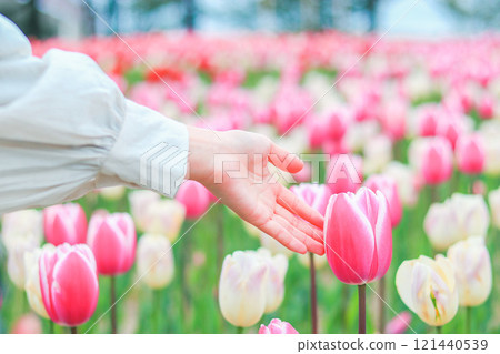 Handing over tulips 121440539