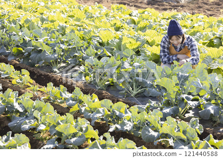 Scene of farmers working in the fields 121440588
