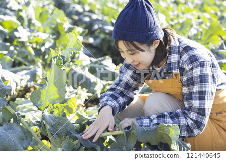 在田間工作的農婦 121440645