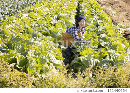 在田間工作的農婦 121440664