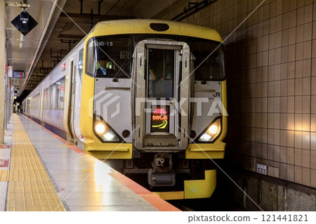 E257系列特急若潮停在東京車站地下月台 121441821