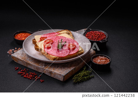 Sandwich with toast, salami slices, cheese and tomatoes, salt and spices Sandwich with toast, salami slices, cheese and tomatoes, salt and spices 121442238
