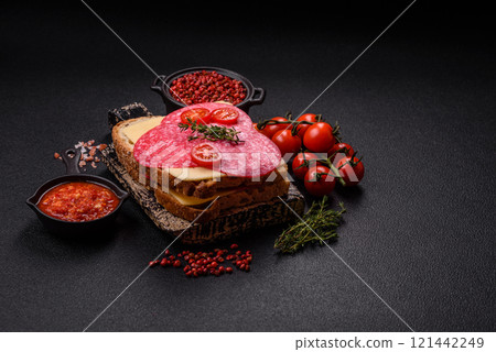 Sandwich with toast, salami slices, cheese and tomatoes, salt and spices Sandwich with toast, salami slices, cheese and tomatoes, salt and spices 121442249
