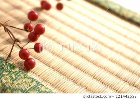 Sartori新鮮水果 121442552