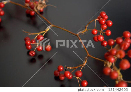 Sartori新鮮水果 121442603