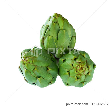 Freshly harvested green artichoke isolated on a white background. Freshly harvested green artichoke isolated on a white background. 121442697