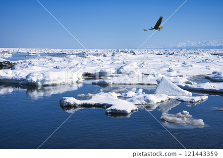 A seasonal sight in winter: the beautiful drift ice of the Sea of Okhotsk 121443359