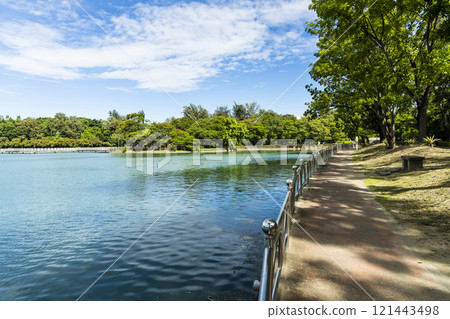 The beautiful trees and sky reflections in Chengcheng Lake Scenic Area in Kaohsiung, Taiwan. 121443498