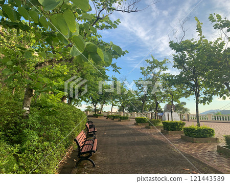 Garden wooden bench, footpath , green plants, tree in Hong Kong outdoor purblic park Garden wooden bench, footpath , green plants, tree in Hong Kong outdoor purblic park 121443589