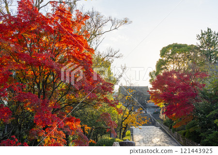 秋天的京都，大谷本廟，正門被秋葉覆蓋 121443925
